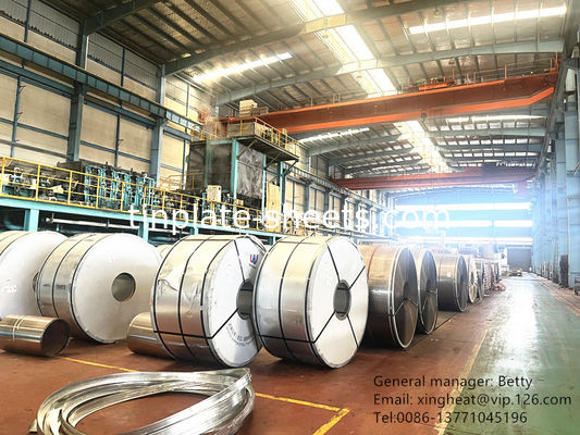 Bảng mỏng có chức năng cao với độ dày và kích thước tùy chỉnh cho các ứng dụng công nghiệp và bao bì